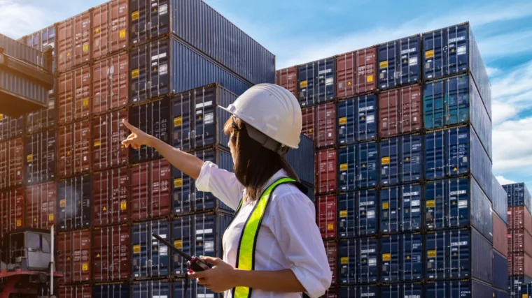 Bir Lojistik Şirketi için Yeni Iş Alanlarının Tespiti